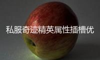 私服奇迹精英属性插槽优化建议提升战斗效率的关键一步
